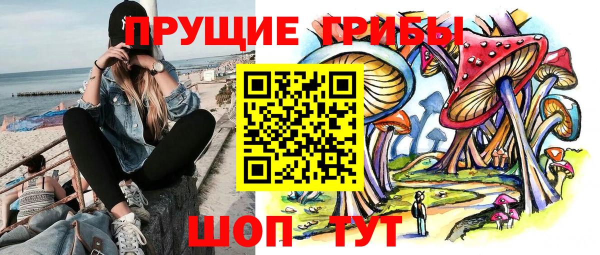 Губкин  Псилоцибиновые грибы Psilocybe  Вход с VPN 