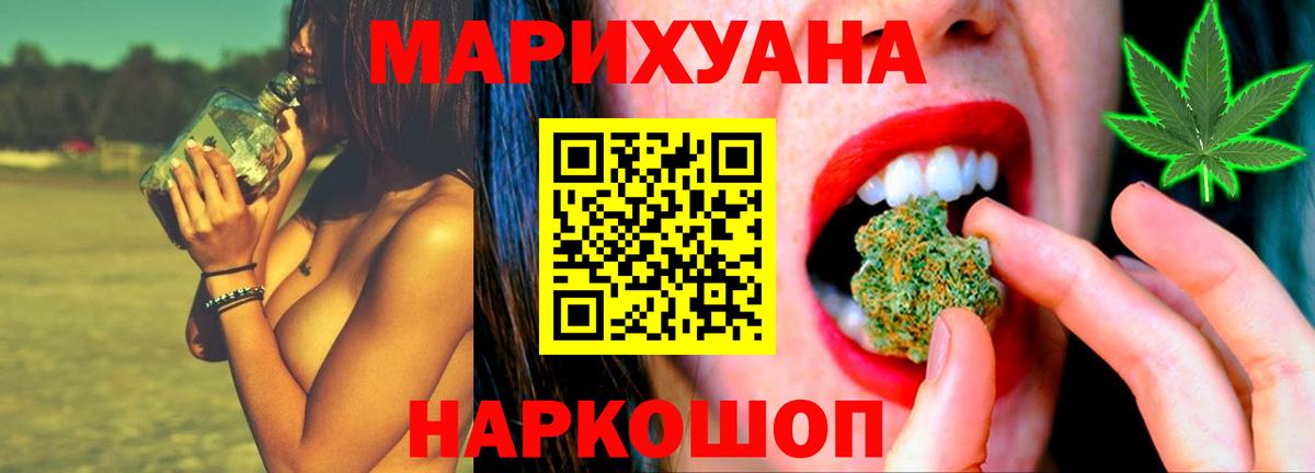 Каннабис индика Губкин